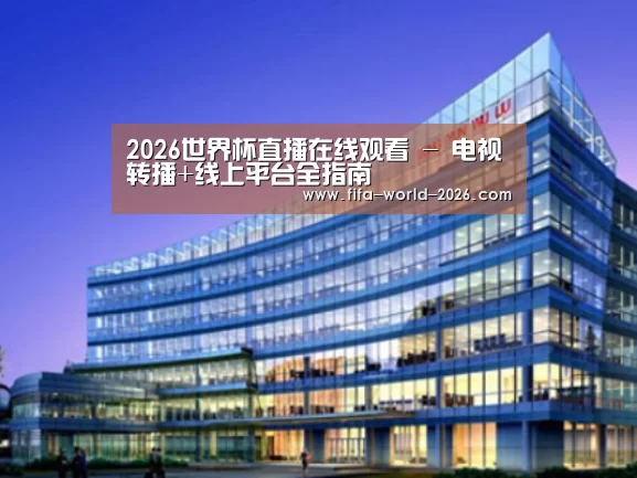 世界杯直播案例展示三