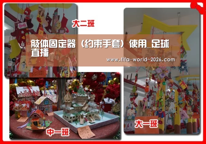 肢体固定器(约束手套)使用_足球直播(图1) 2026世界杯直播